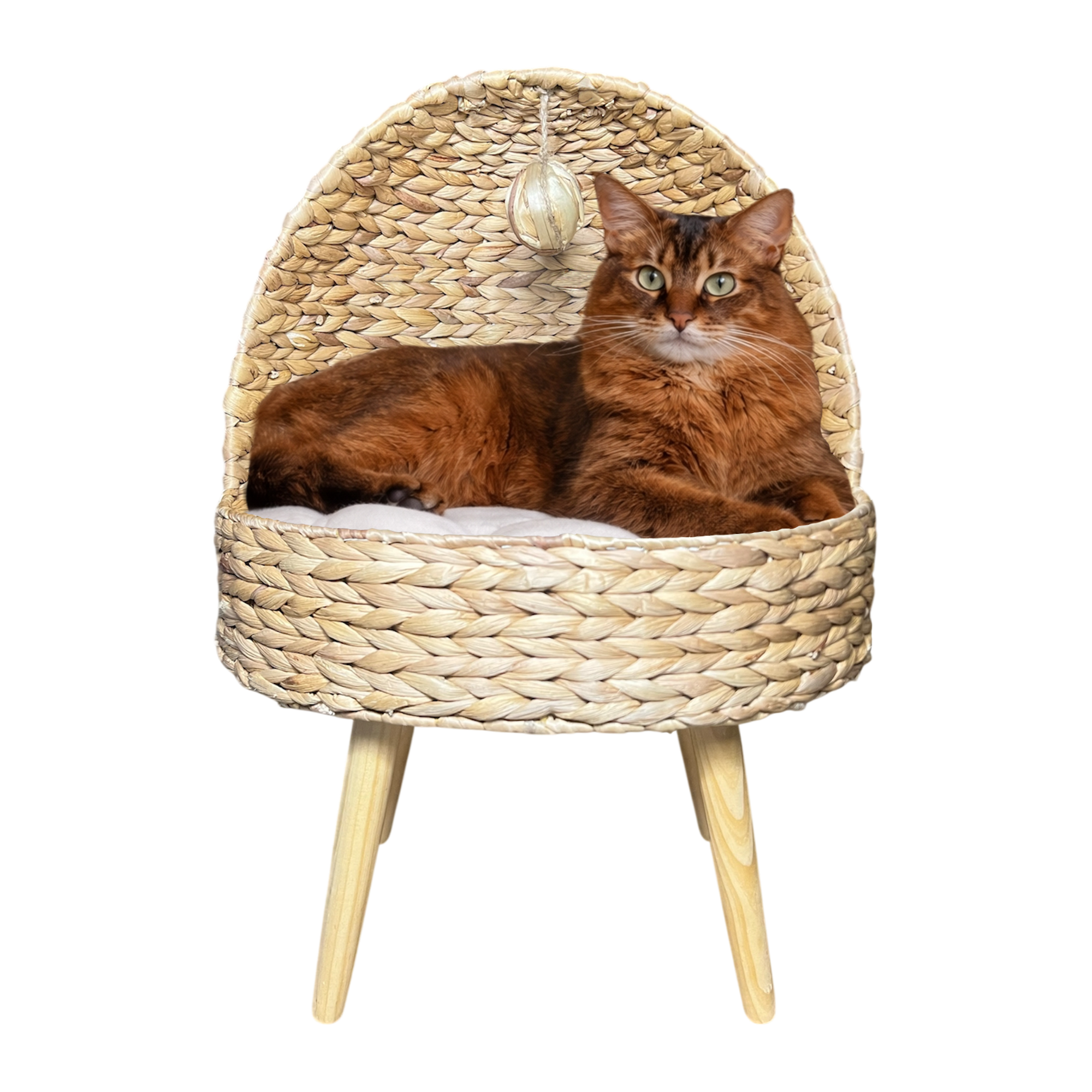 Fauteuil pour chat en rotin