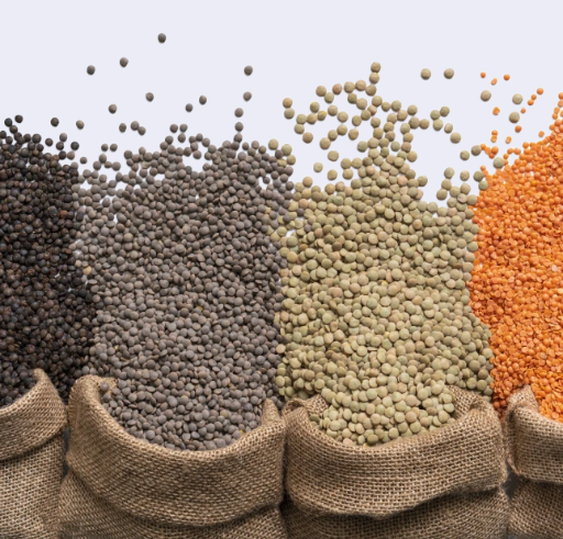 Lentils