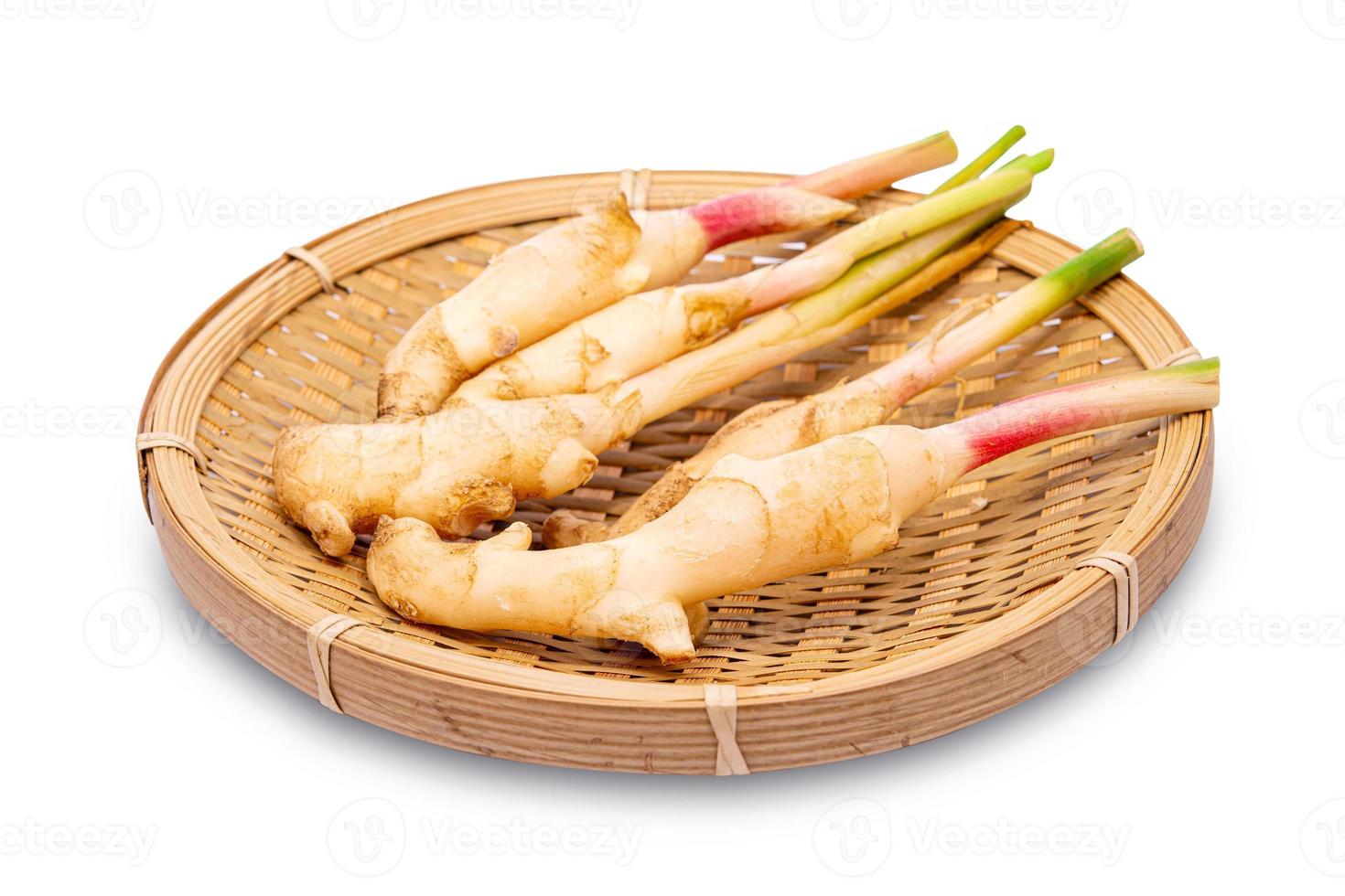 Fresh Galangal Root