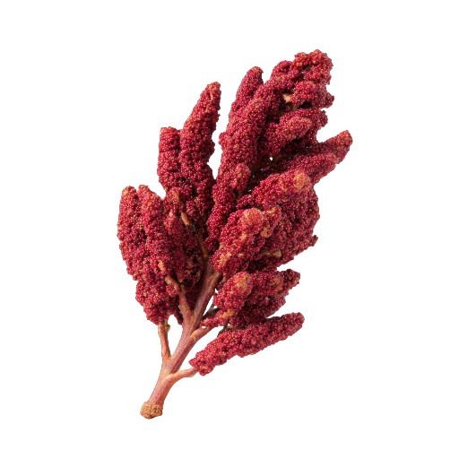  Sumac 
