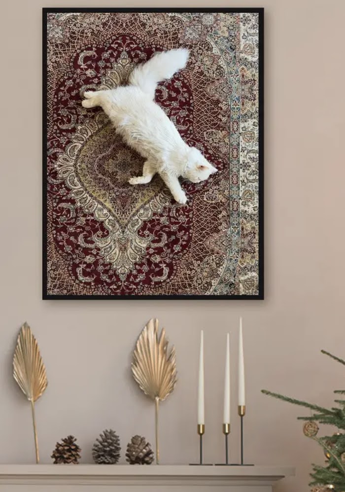 Cute Persian cat on rug !
