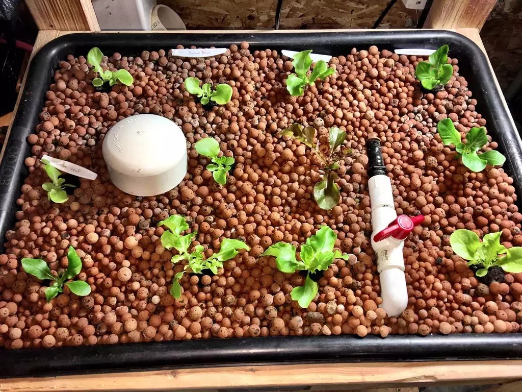 Argila Expandida 3222 - 25L