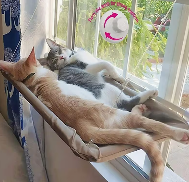 Hamaca de ventana para Michis