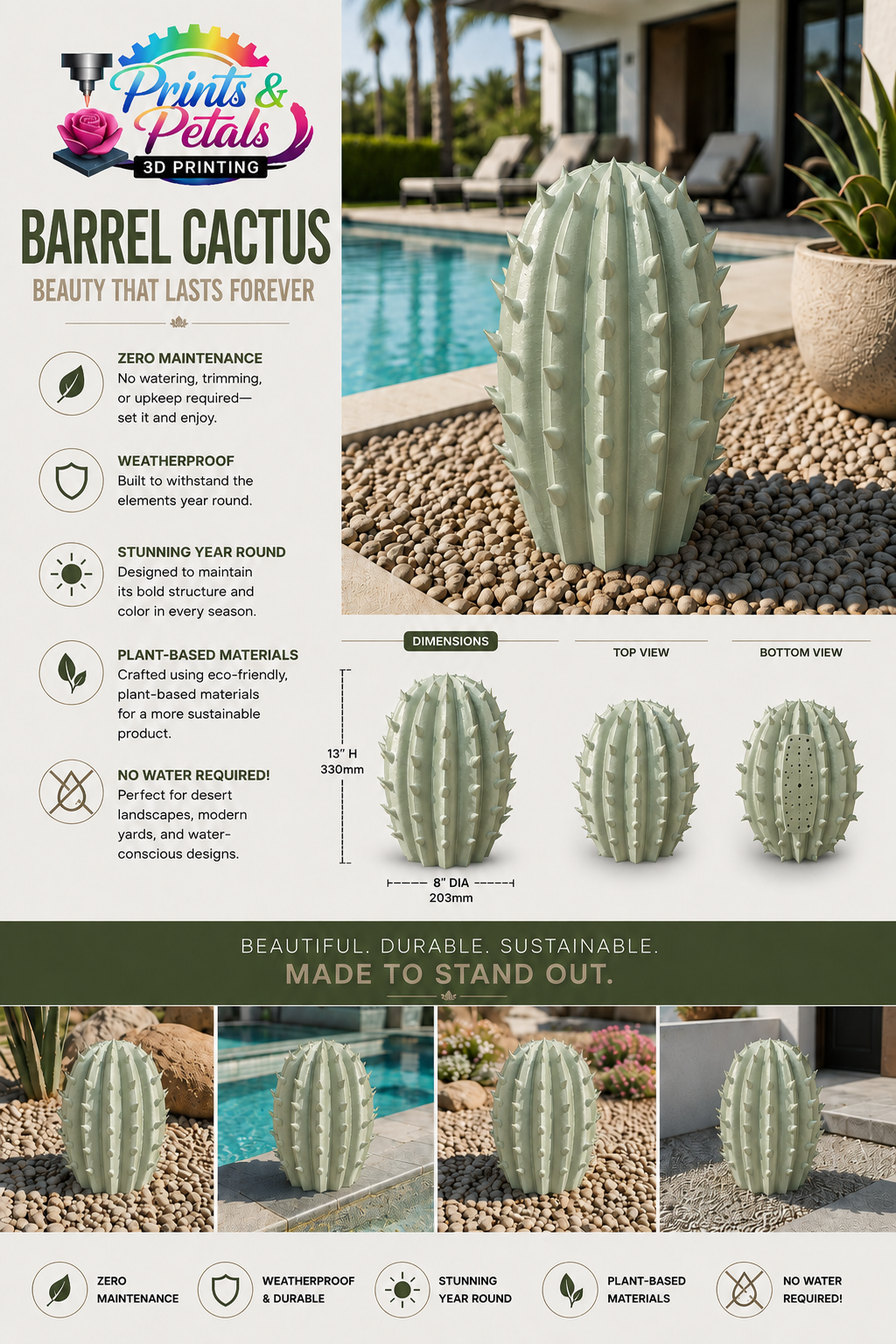 Modern Barrel Cactus - Zero Maintenance