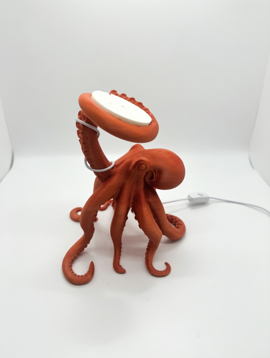Lampada da scrivania a forma di polpo