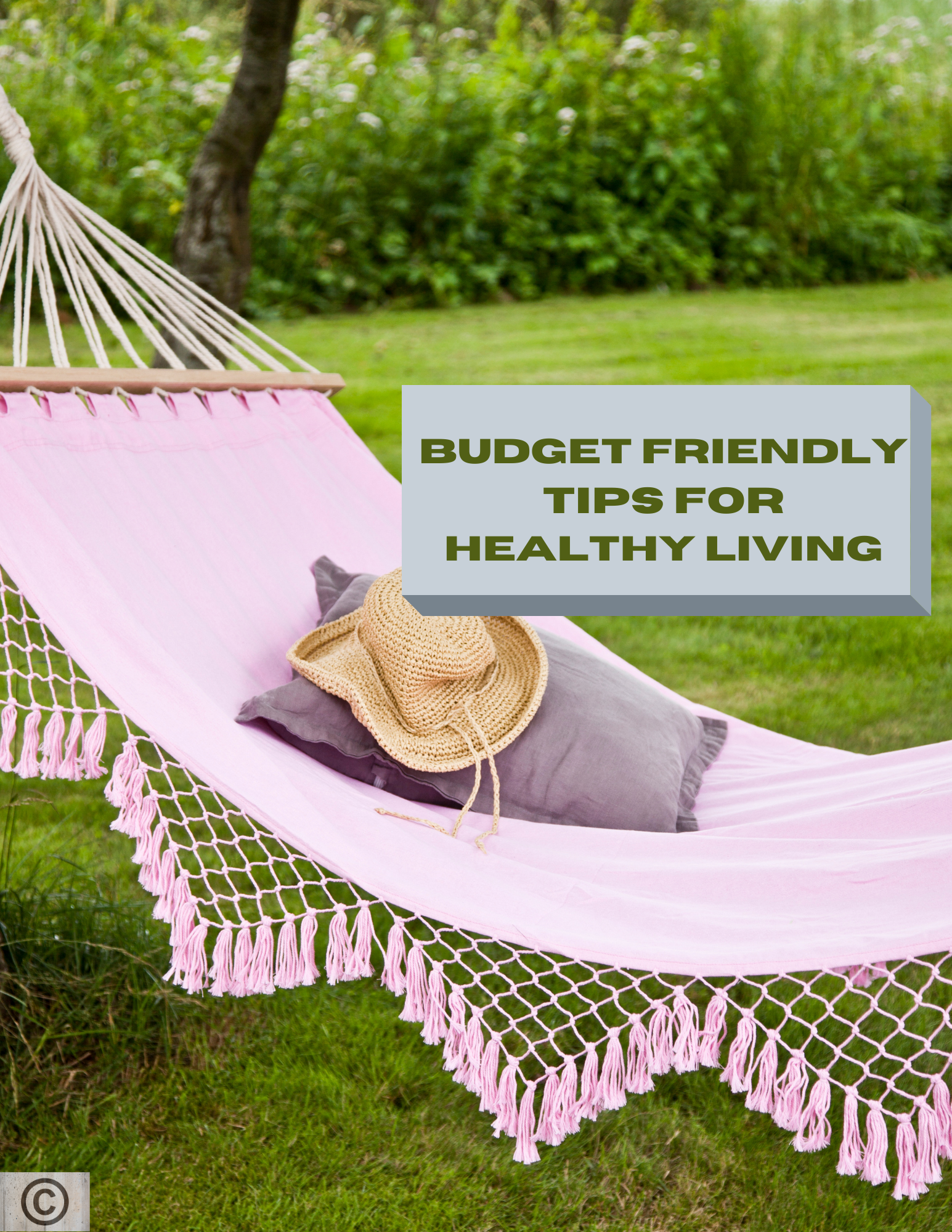 healthy living on a budget