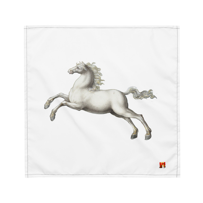 All-over print bandana