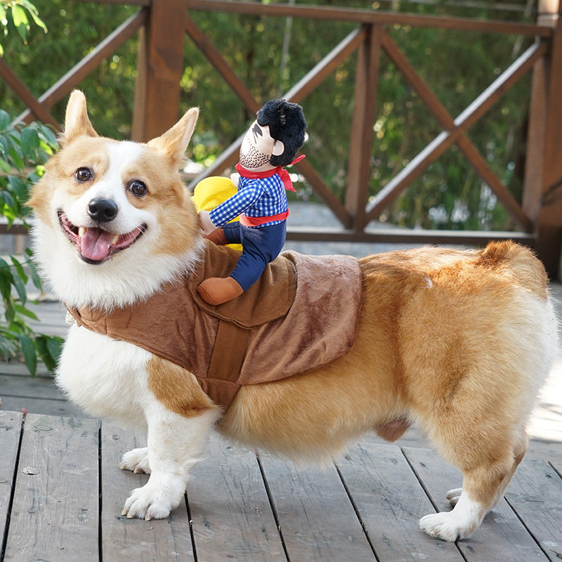 Cowboy Dog Costume