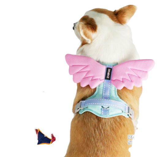 Blue Angel Wing Pet Harness and Leash Set