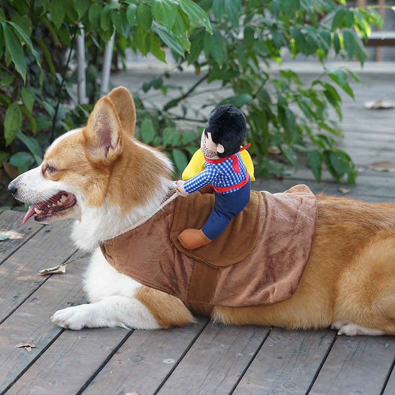 Cowboy Dog Costume