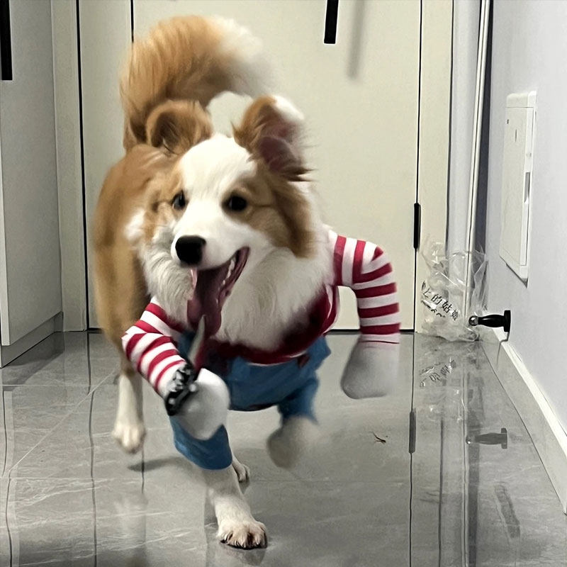 Chucky Dog Costume