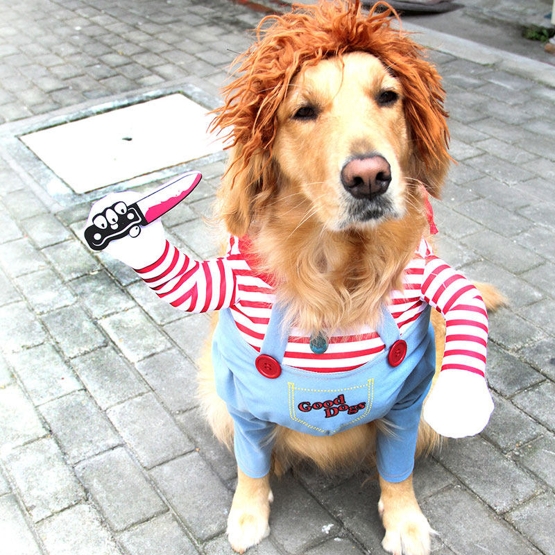 Chucky Dog Costume