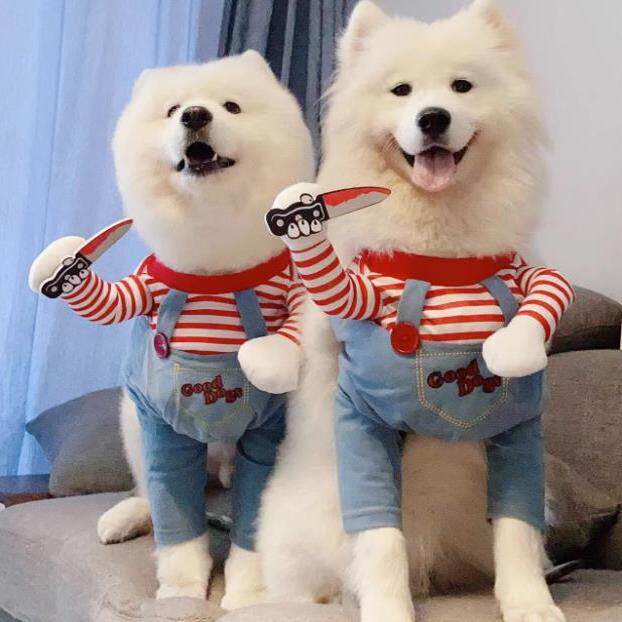 Chucky Dog Costume