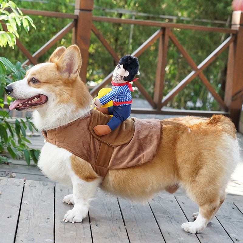 Cowboy Dog Costume