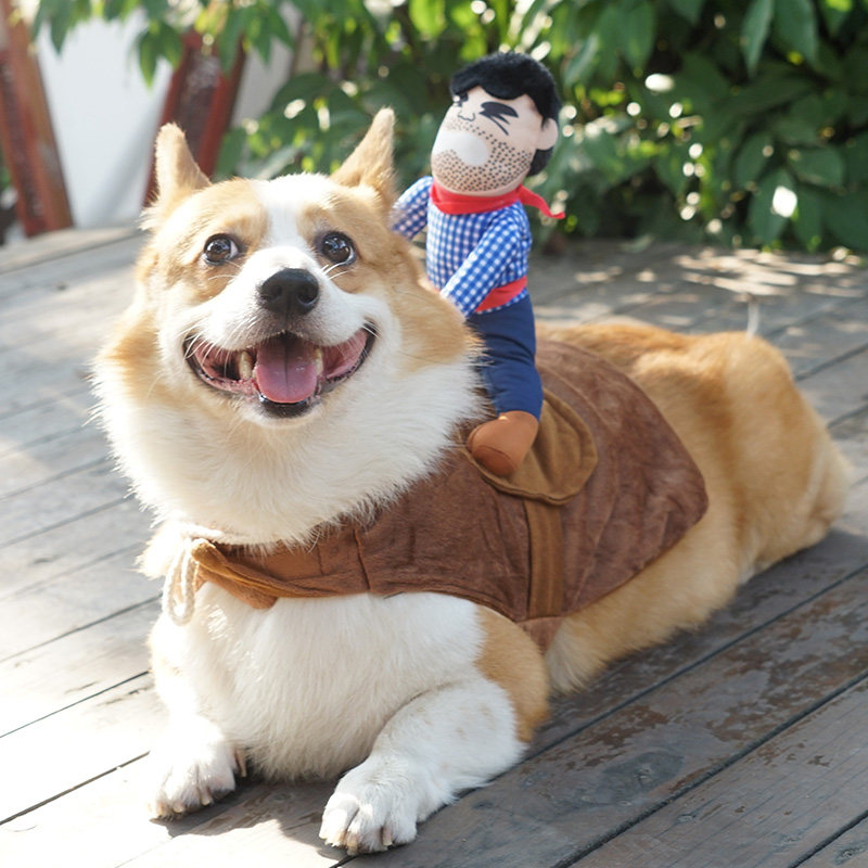Cowboy Dog Costume