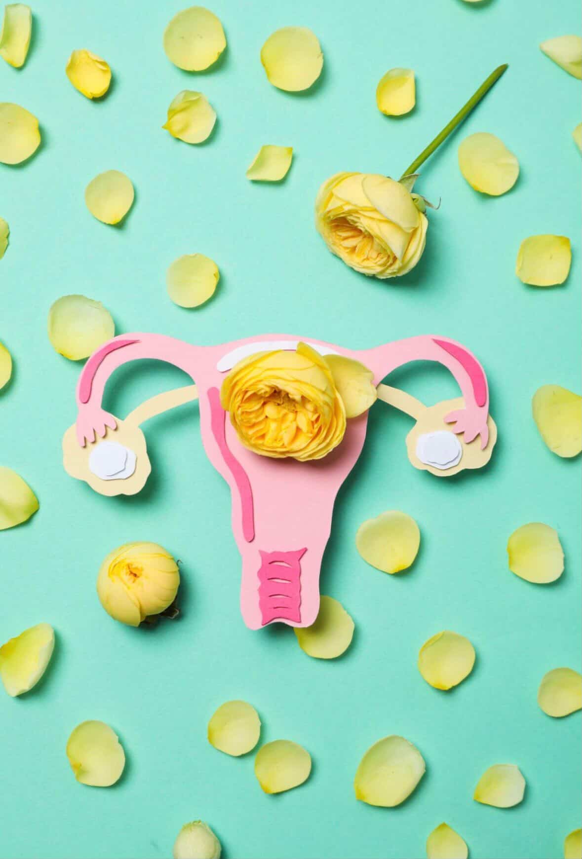 Obstetrics/Gynaecology