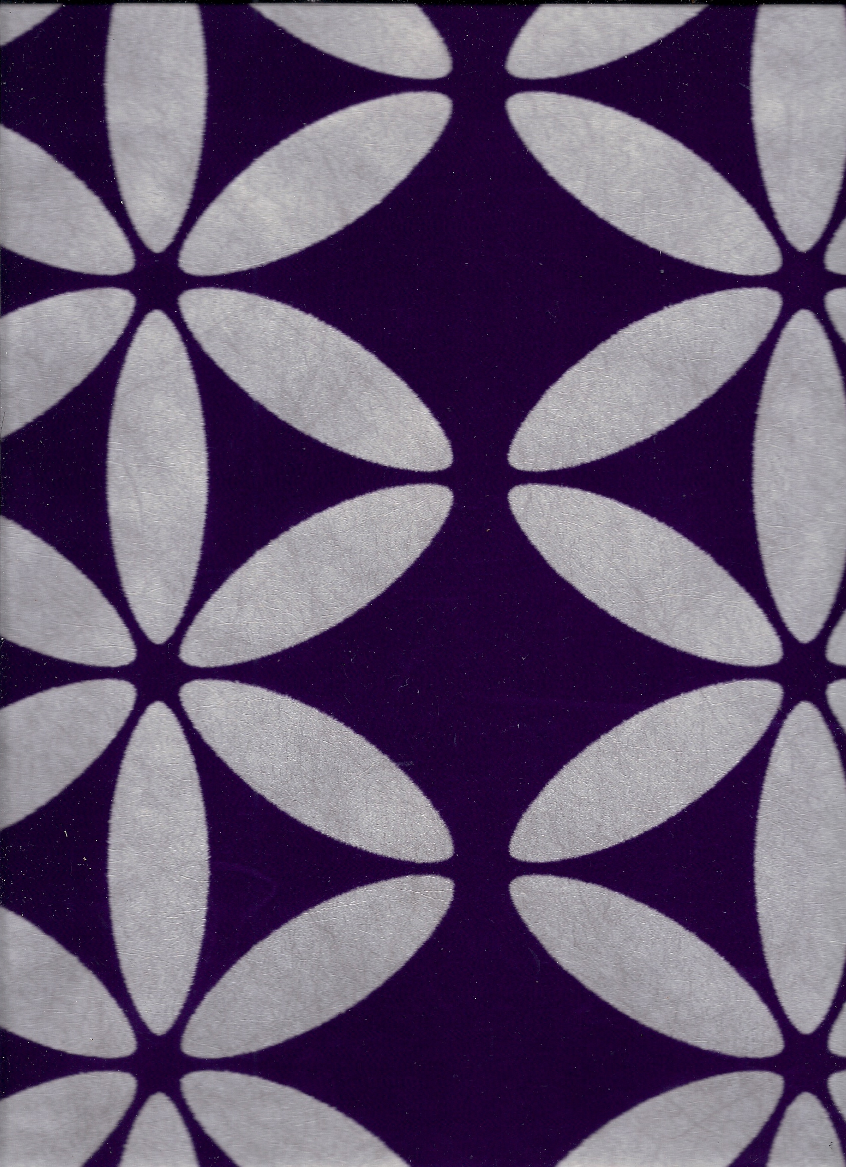 Felpa autoadhesiva | 24006