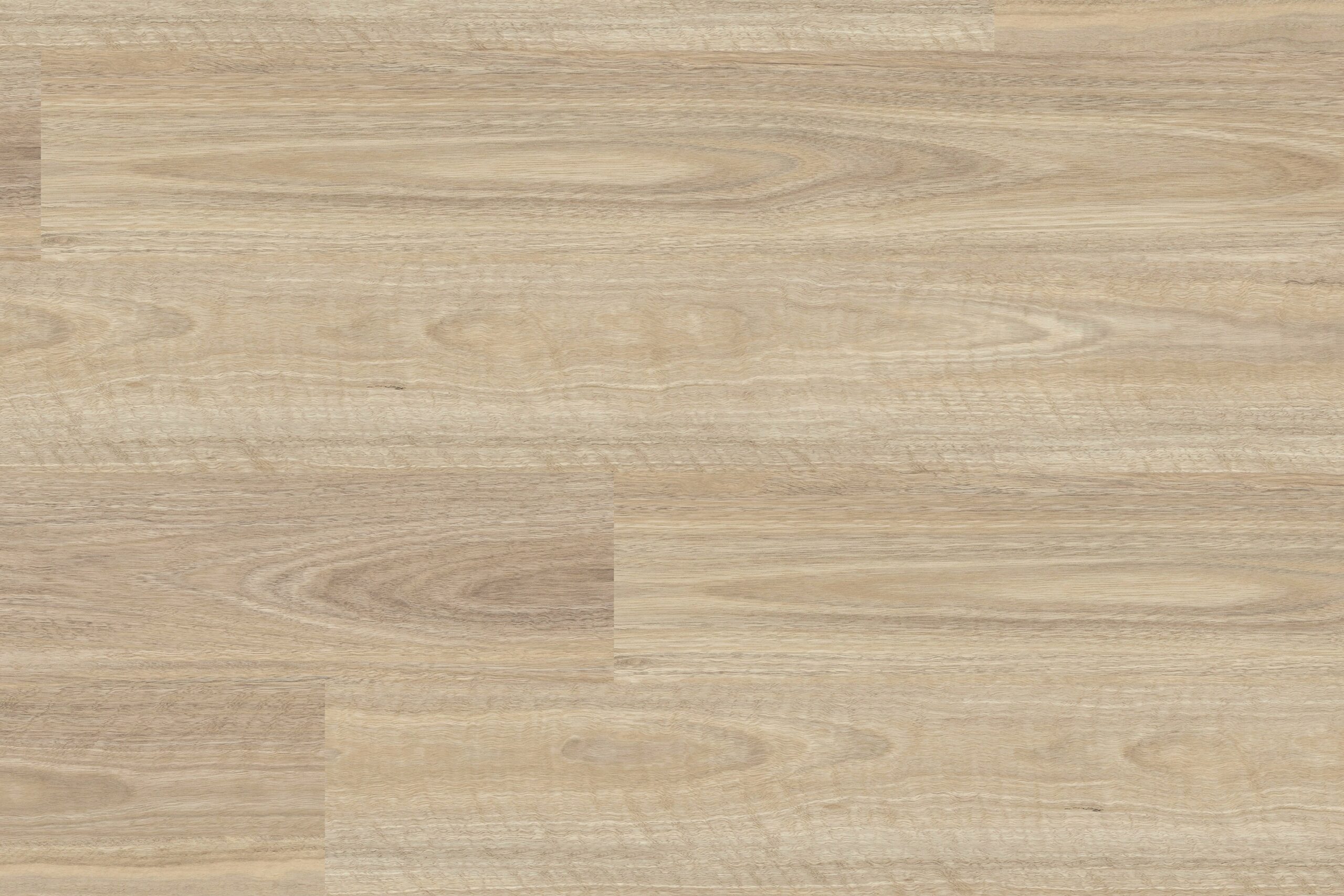 2mm Glue down vinyl plank Royal gum