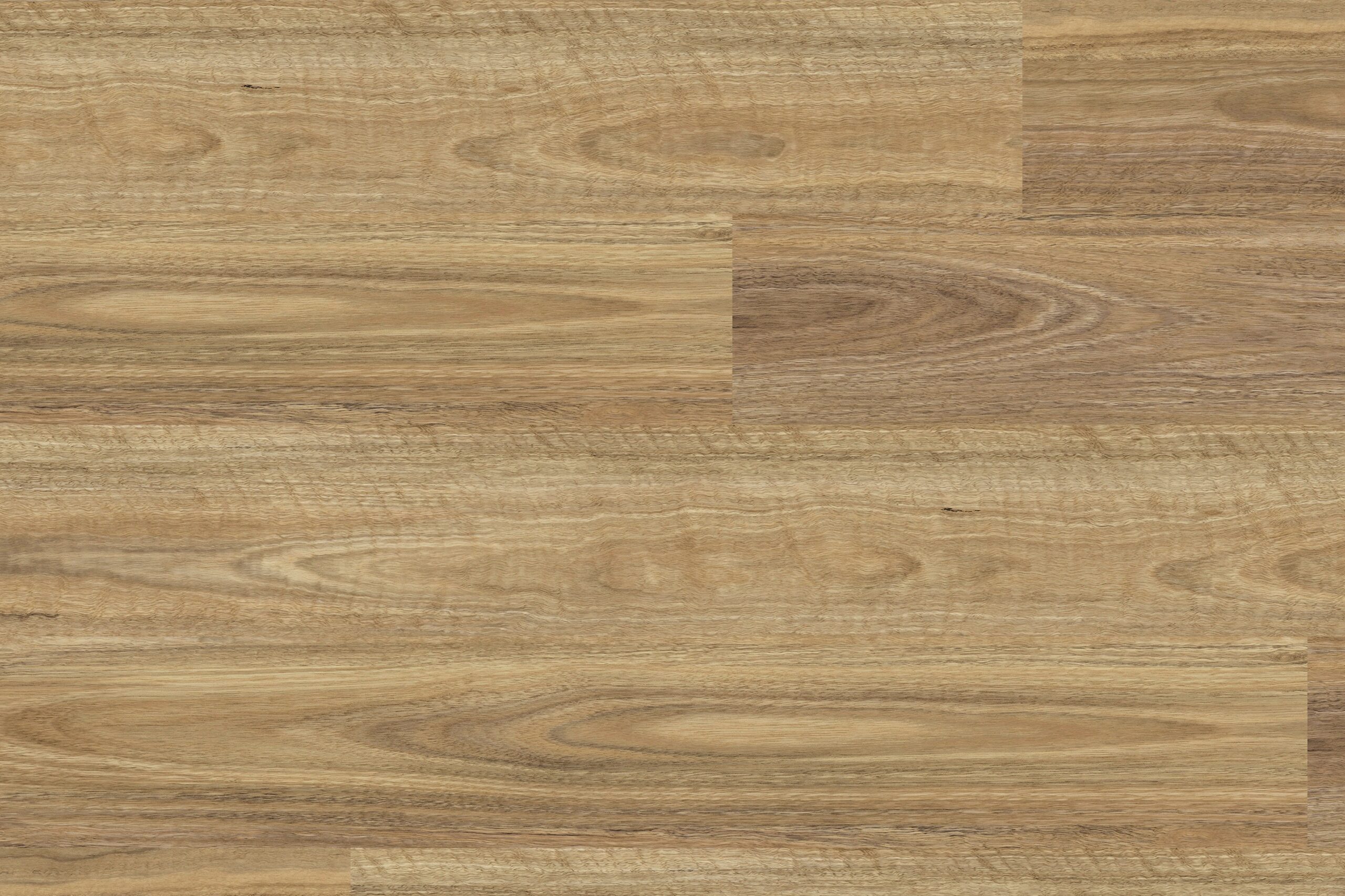 2mm Glue down vinyl plank NSW Spotted gum