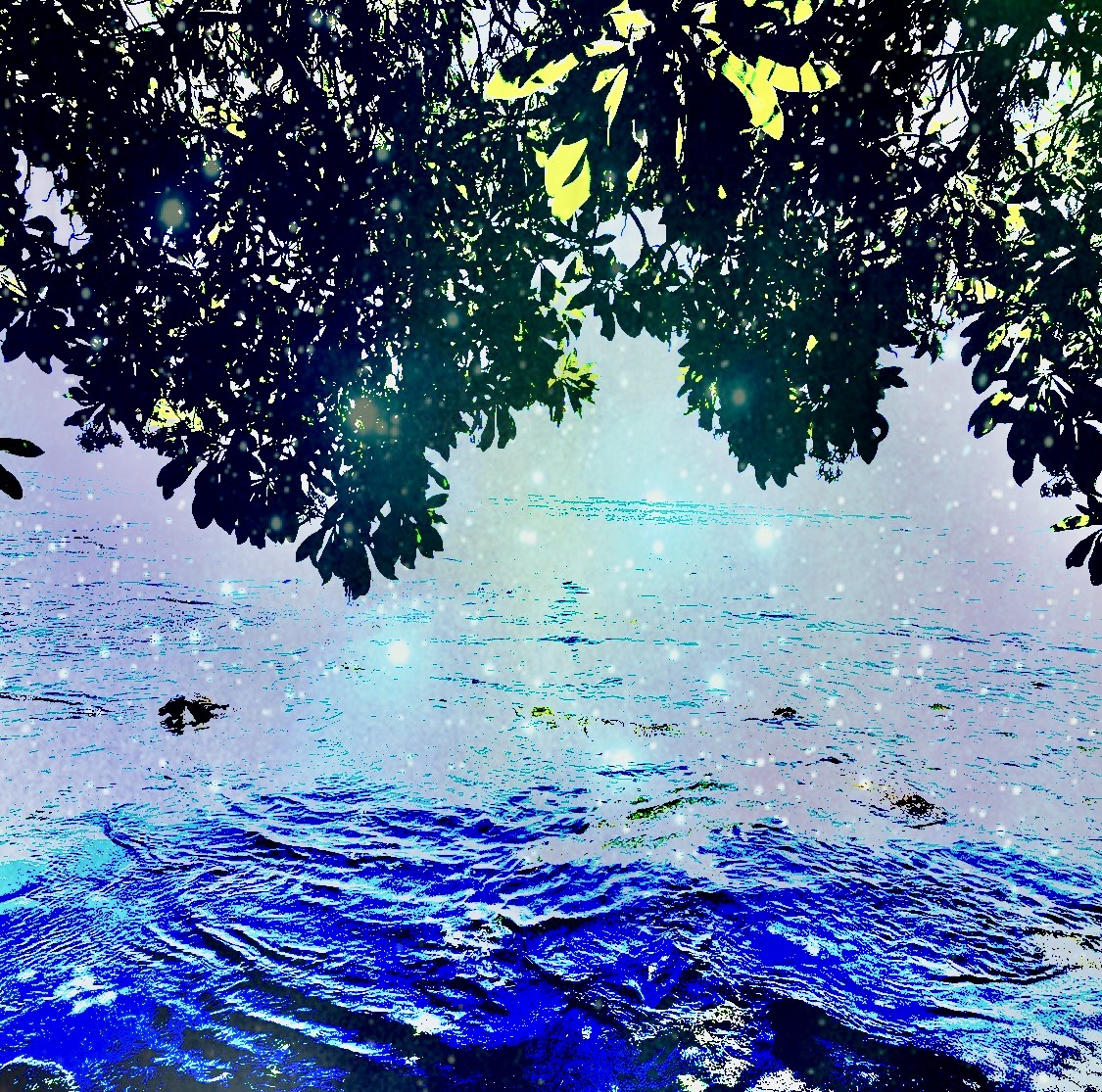 new moon water cleanse