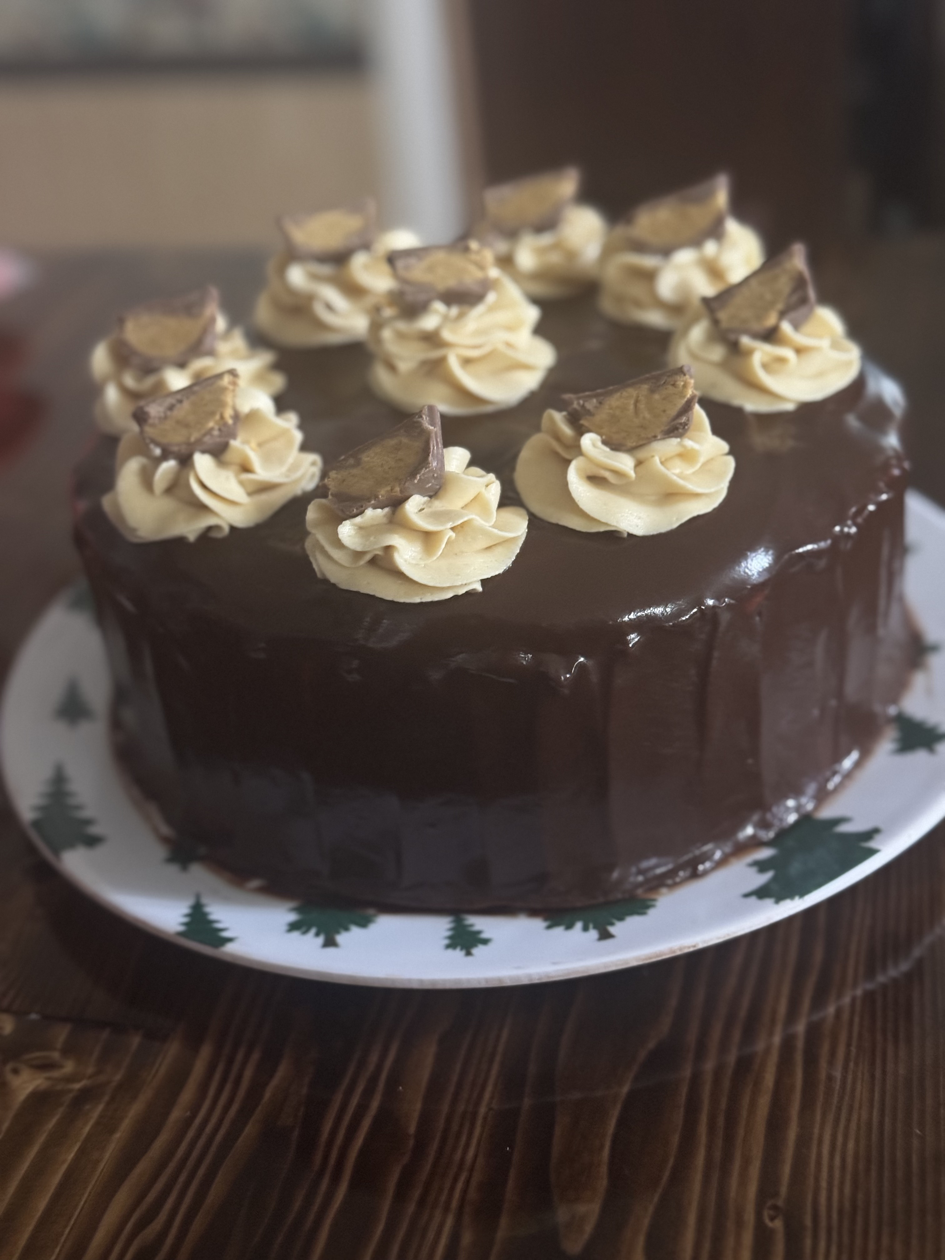 Chocolate Peanut Butter Cake