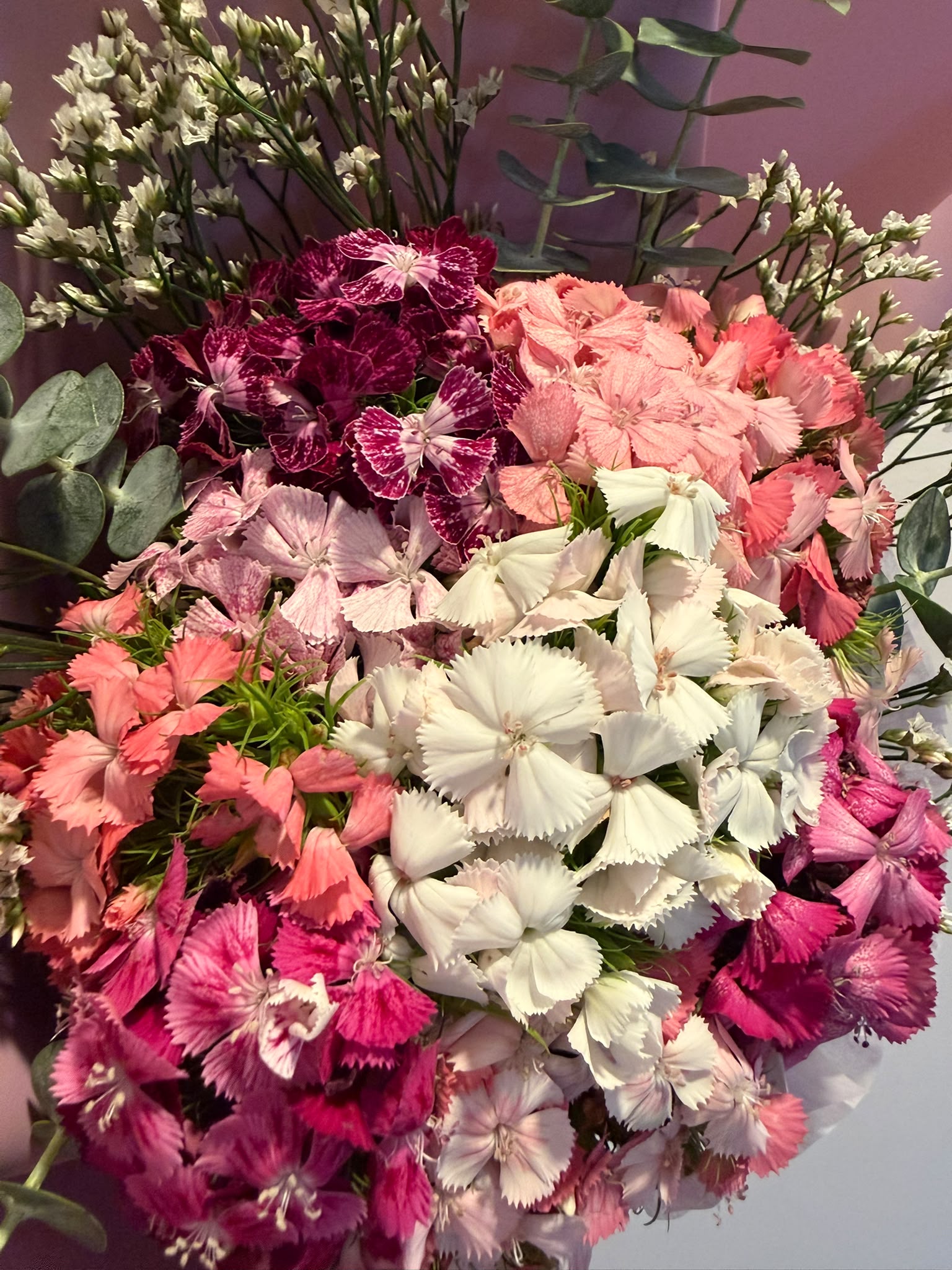 Elegant Sweet Williams Bouquet