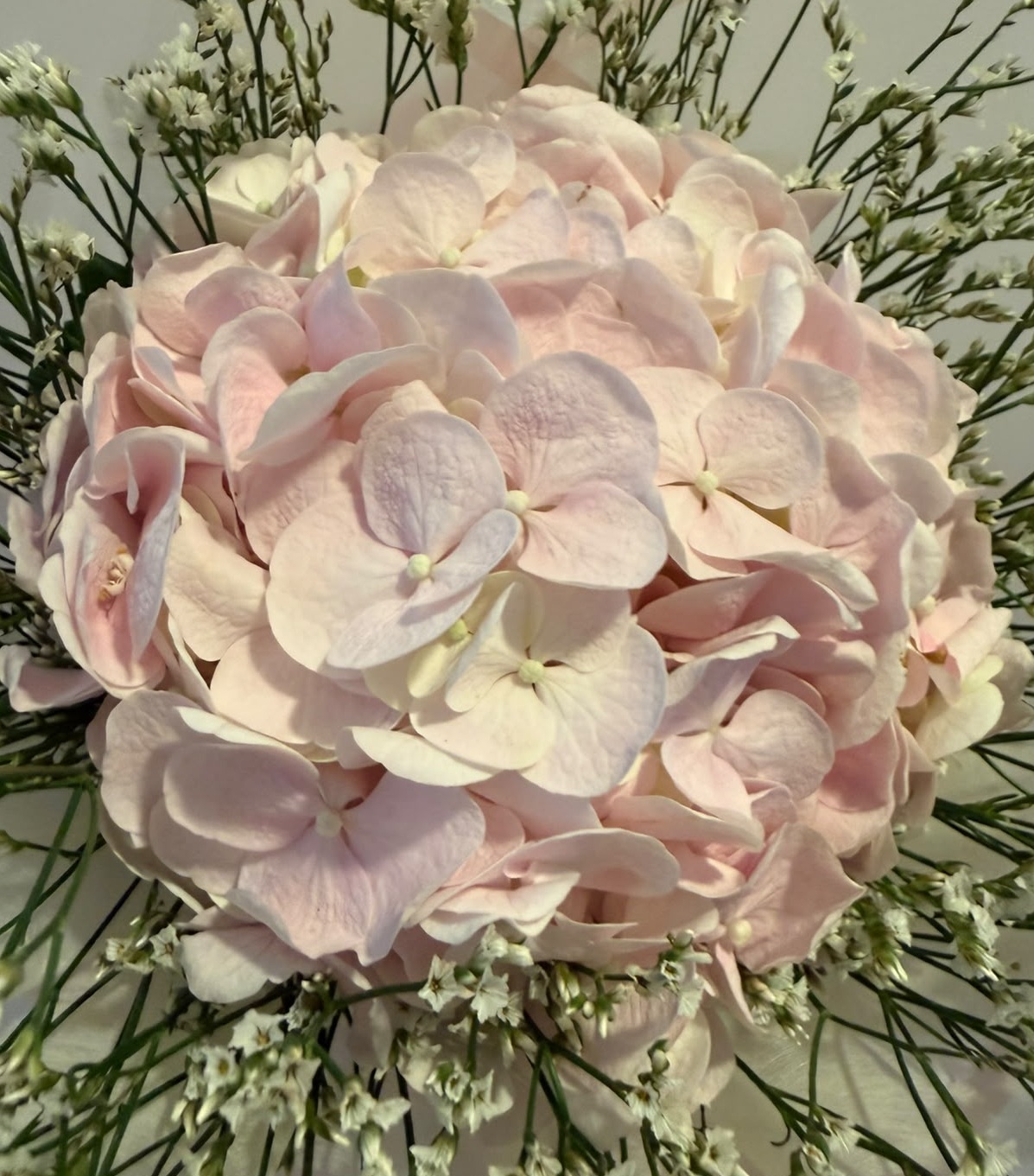 Pink Hydrangea & Baby's Breath Bouquet