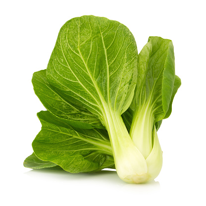 Pak Choï Frais de Saison