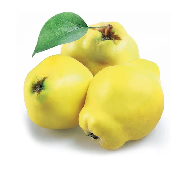 Coings frais et éclatants