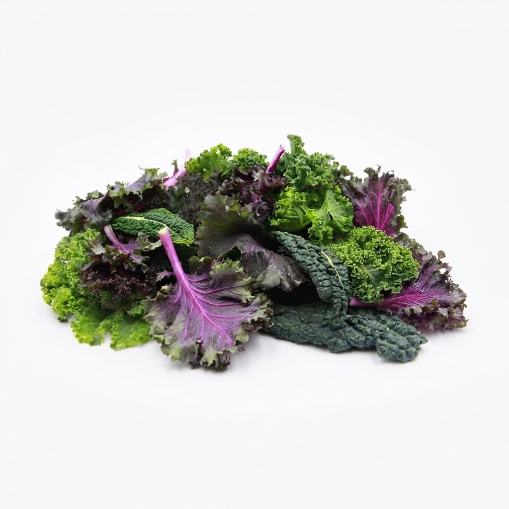 Chou Kale Rouge