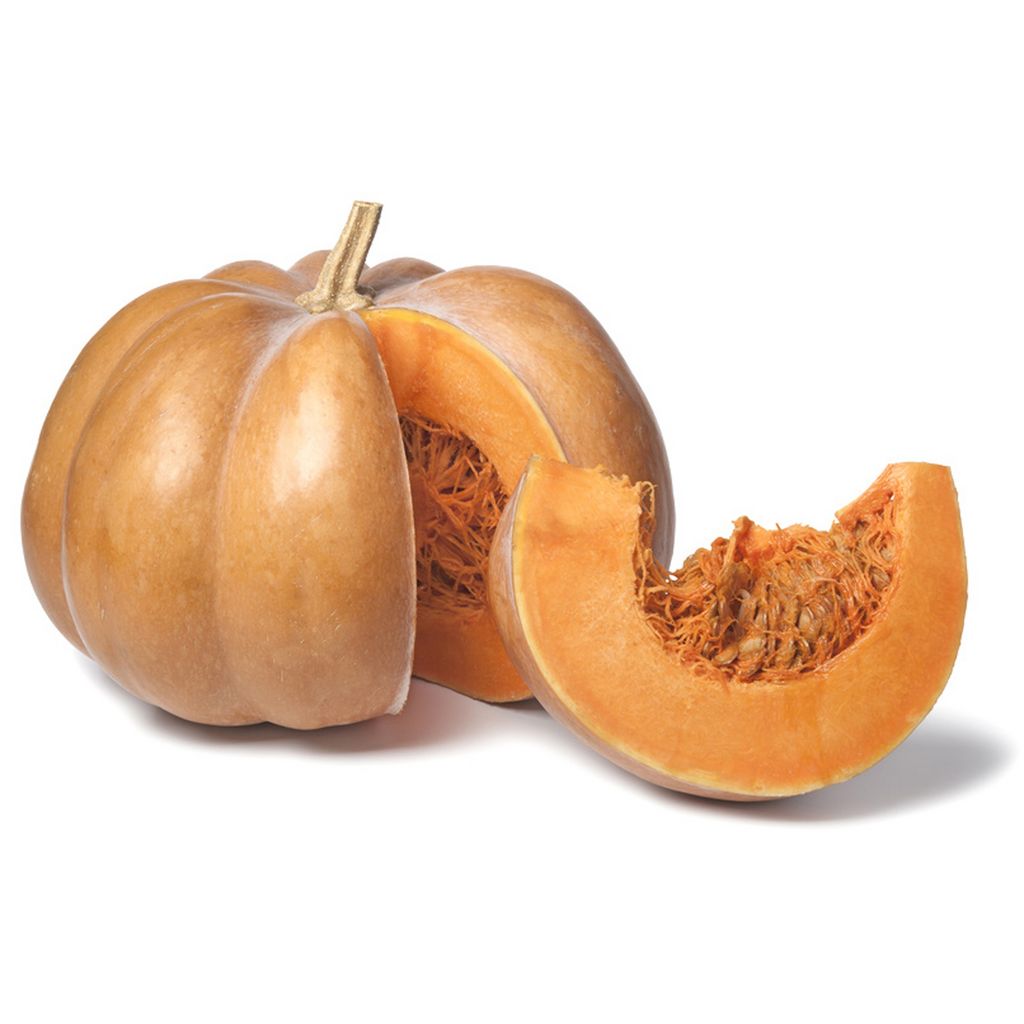 Courge Bio