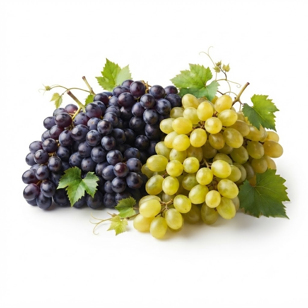 L’Art du Raisin de table
