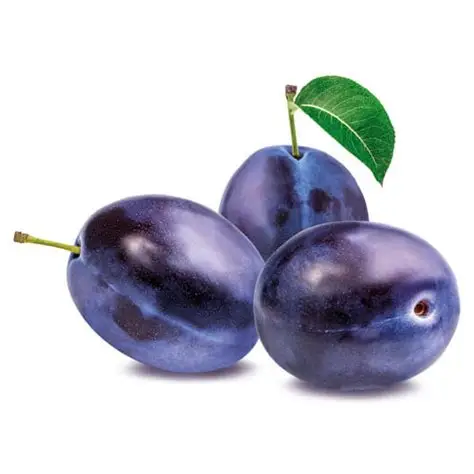 Quetsches Fraîches