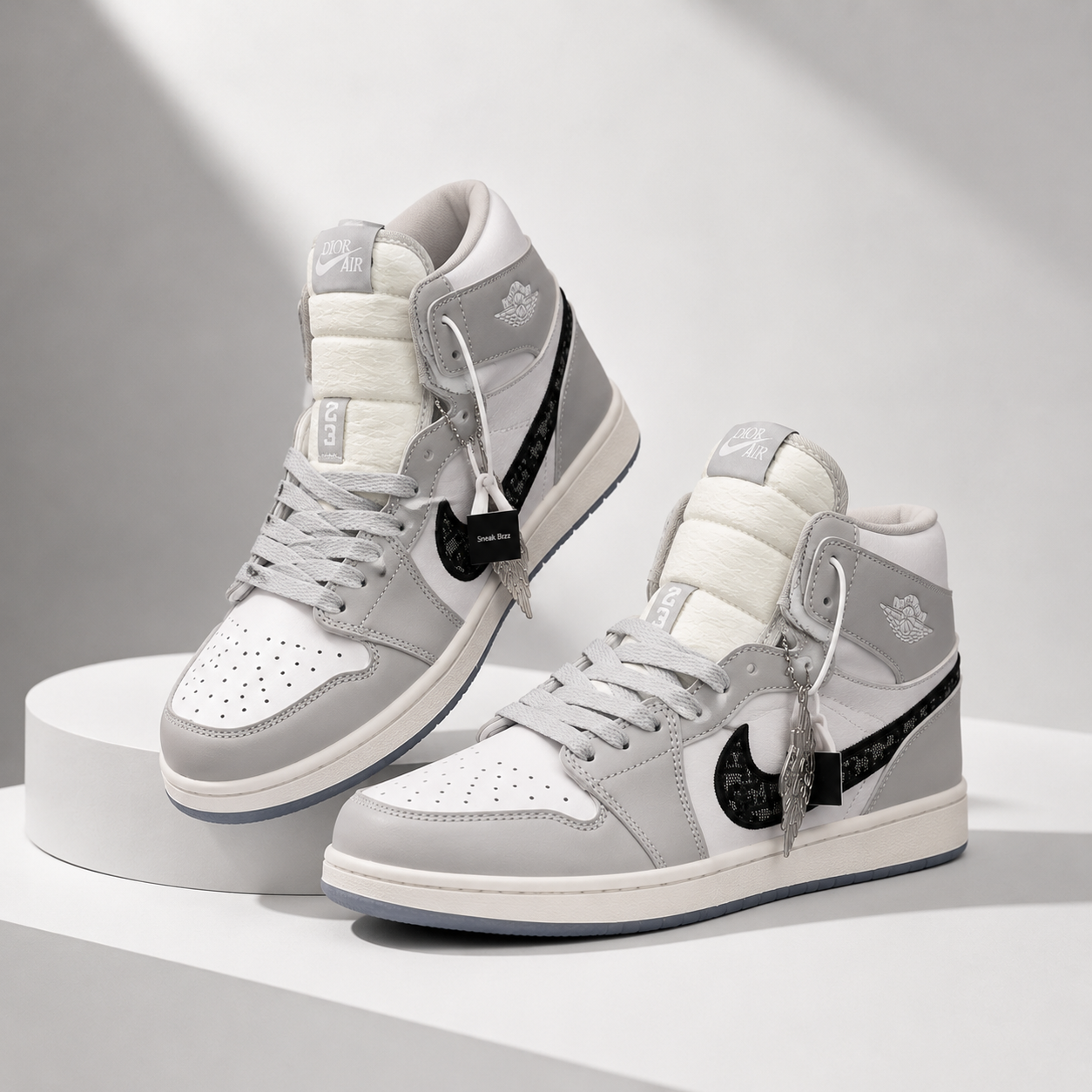 Air Jordan 1 High x Dior