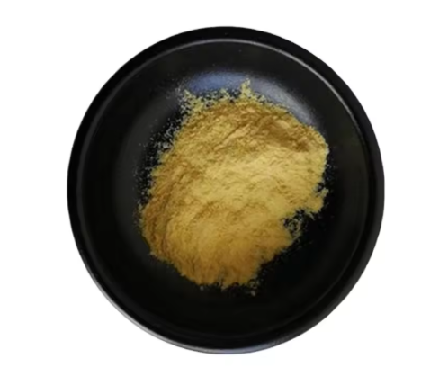 Green Tea Extract