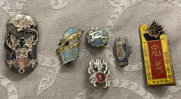 French Indochina Combo Set Rare Original 6 Badges