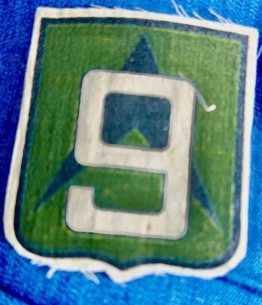 South Vietnamese 9th Infantry Division Silk Patches