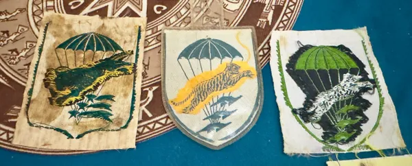 ARVN South Vietnamese Special Forces - AirBorne- Beogam-Infantry- Vietnam AMERICA Flag Patches (10pcs)
