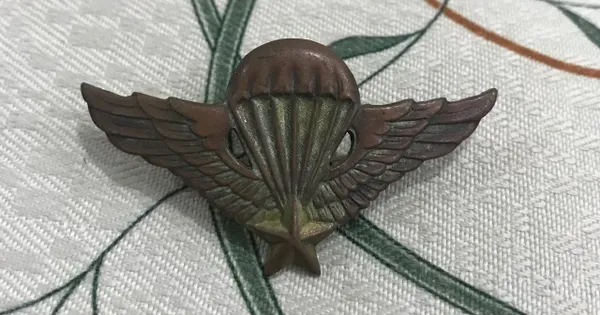 Original All in Vietnam War - South VietnamEse Para Airborne " Nhay Du " Badges Serial No. 06342