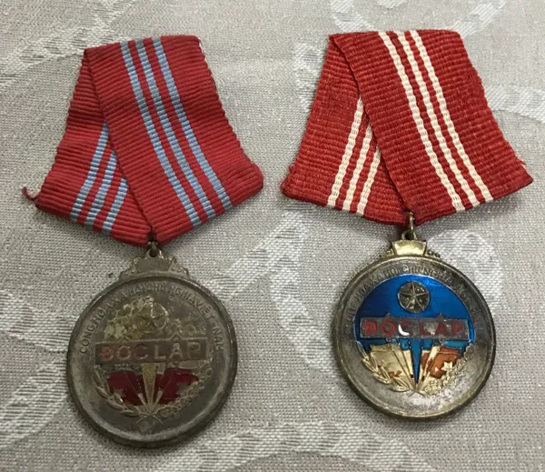 Original North Vietcong & South Vietcong Indepence Medal (1set of 2pcs)