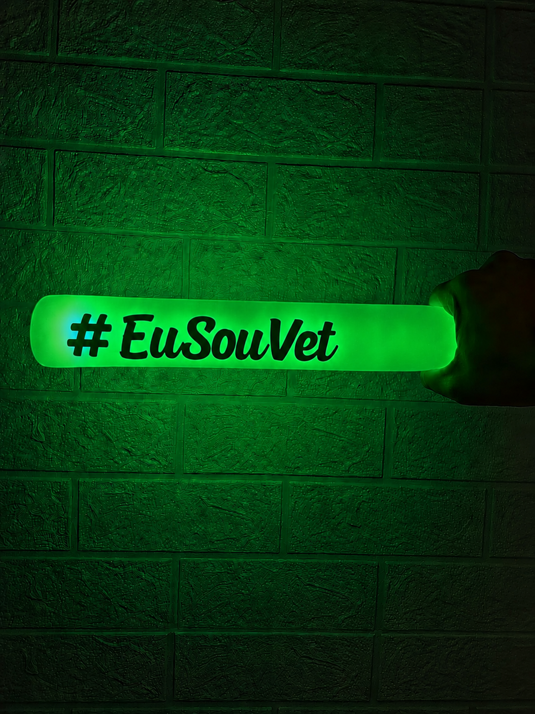 Bastão de Led Verde Espuma com Nome 🟢
