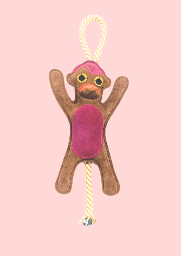 Plush Monkey Dog Toy