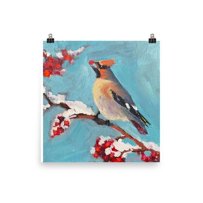 Cedar Waxwing Poster