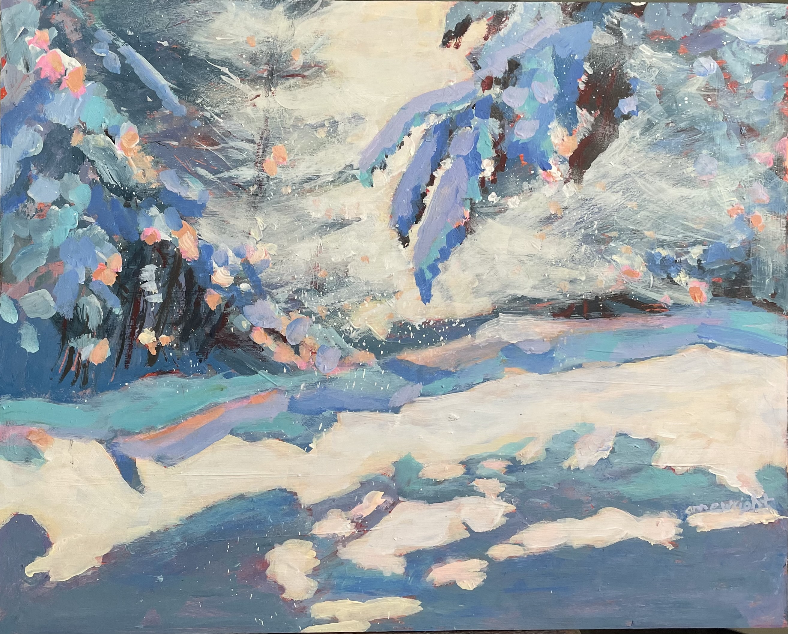Snow Shadows