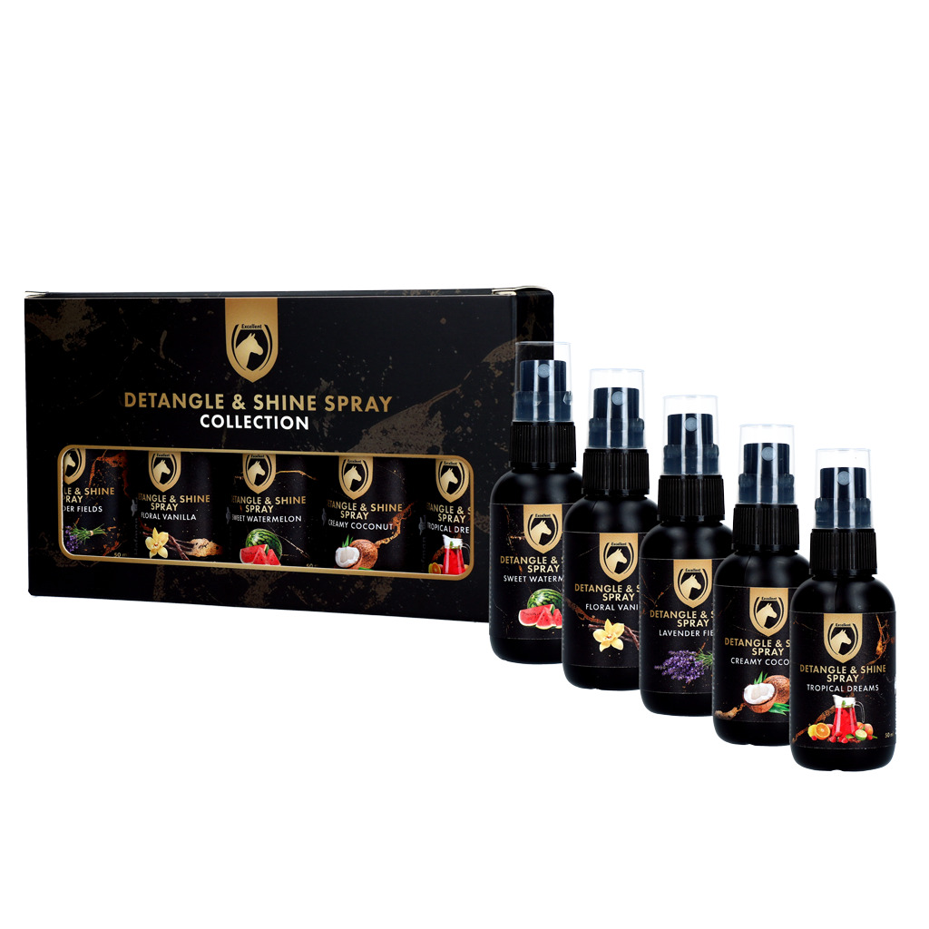 Detangle & Shine Spray Geschenkset