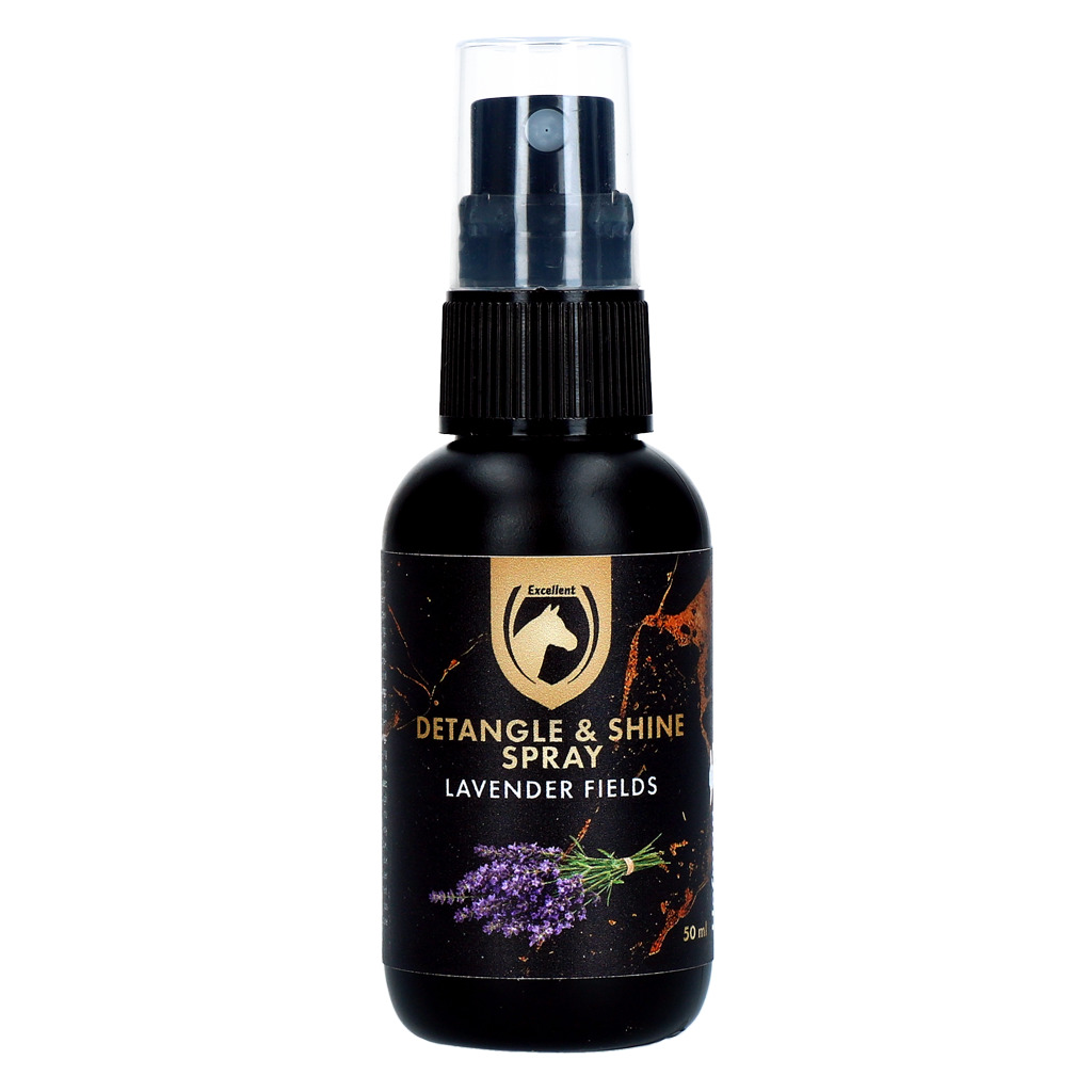 Detangle & Shine Spray Geschenkset