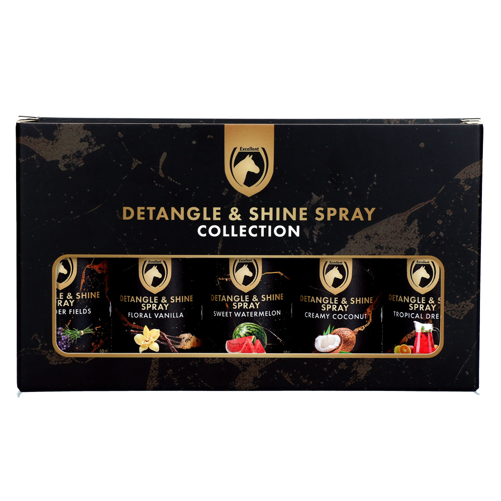 Detangle & Shine Spray Geschenkset