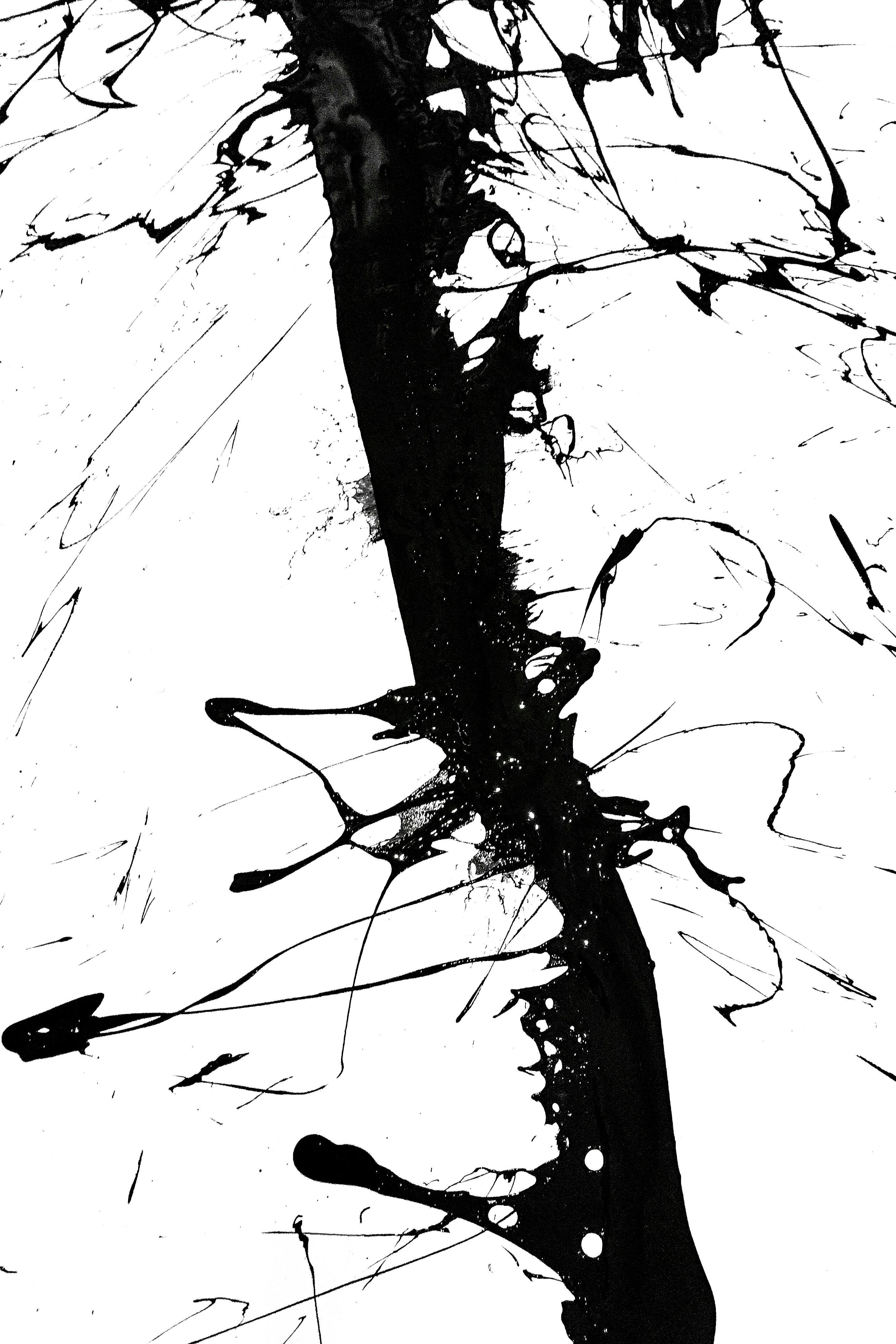 Black Abstract Ink Splash Art