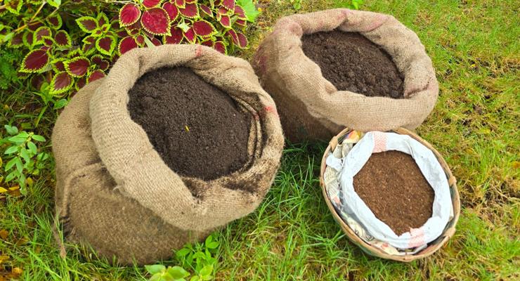 Organic Vermicompost