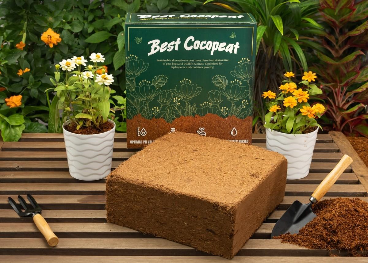Cocopeat Block